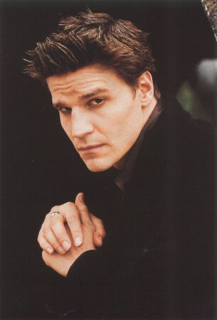 David Boreanaz